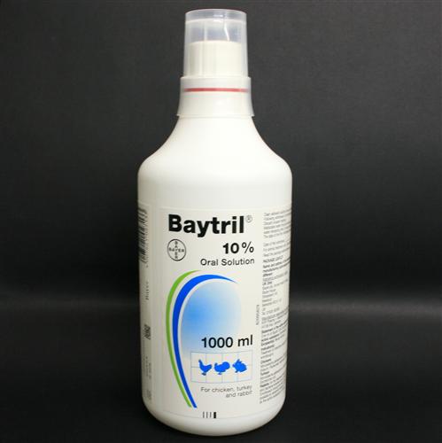 Baytril Without Vet Prescription